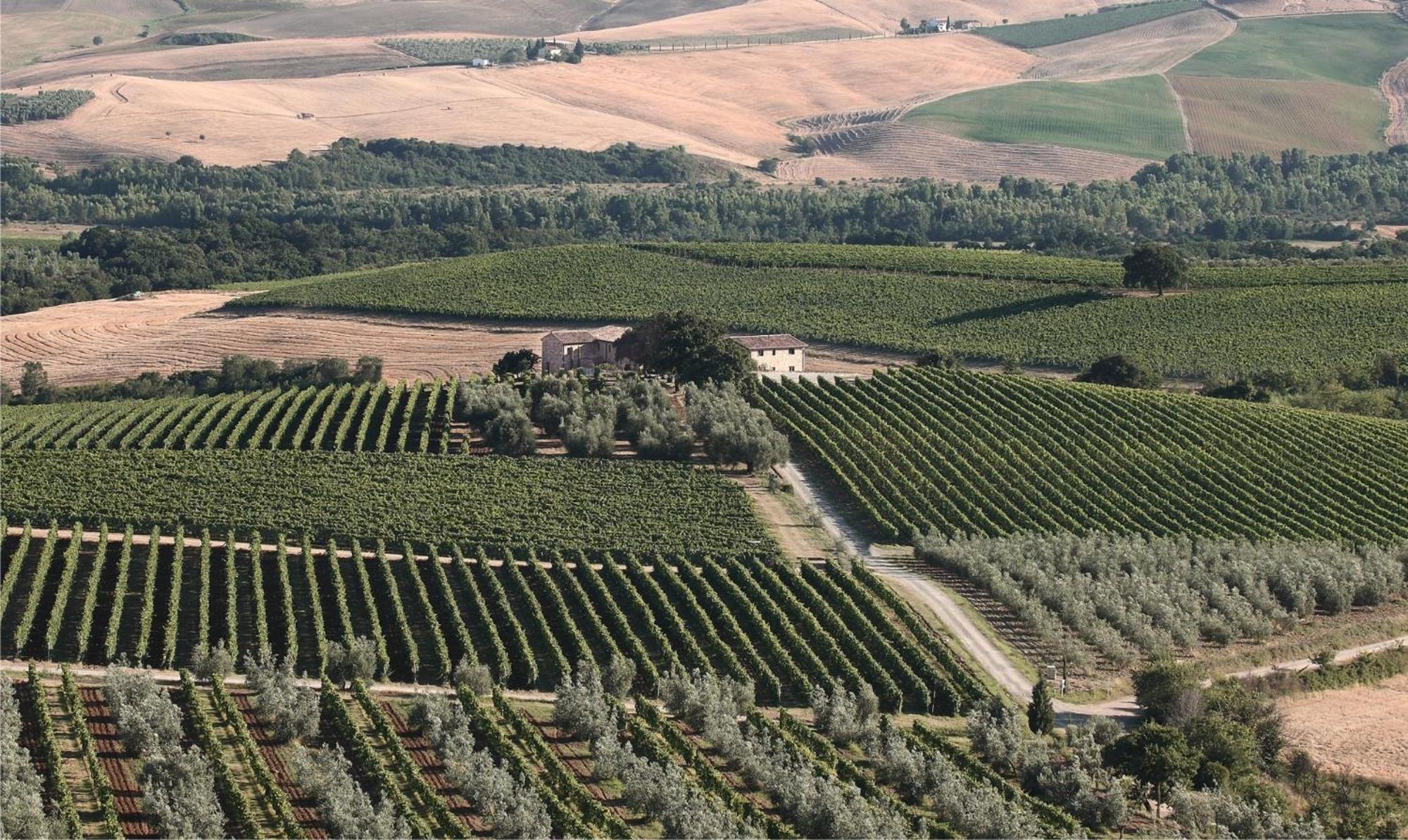 Agriturismo Il Poggione Montalcino Exterior foto